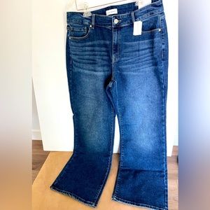 LANE BRYANT blue jeans